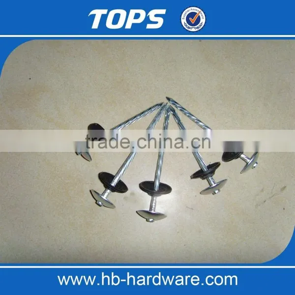 Twisted Shank/ Smooth Shank Umbrella Roofing Nails photo-3