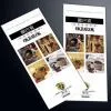 Brochure Printing