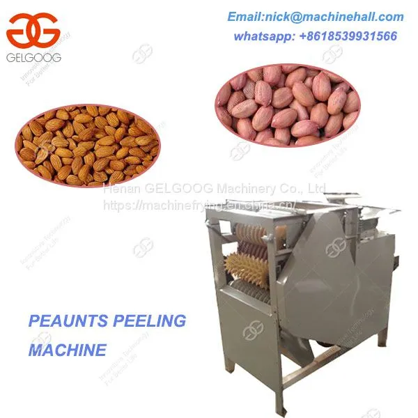 Peanut Peeler for Sale/Wet Peanuts Skin Remove Machine/Food Machinery Wet Peanut Peeling Machine photo-2