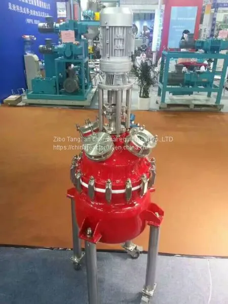 Glass Lined Reactor photo-5