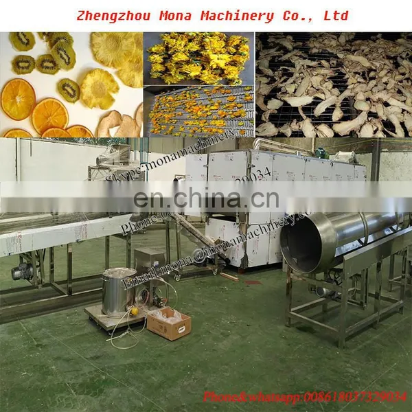 Fish Drying Machine/mushroom Dryer Machine photo-5