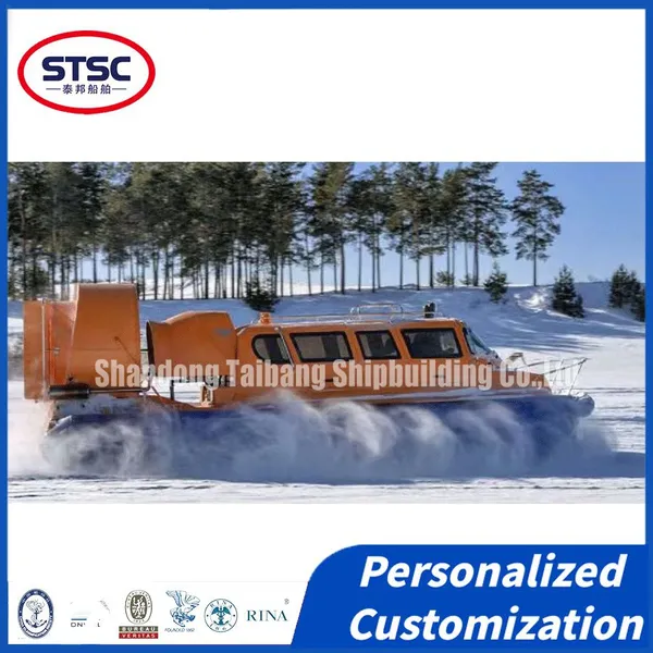 China-Made Multipurpose Hovercraft: Excellent Adaptability for Shallow Waters & Mudflats photo-3