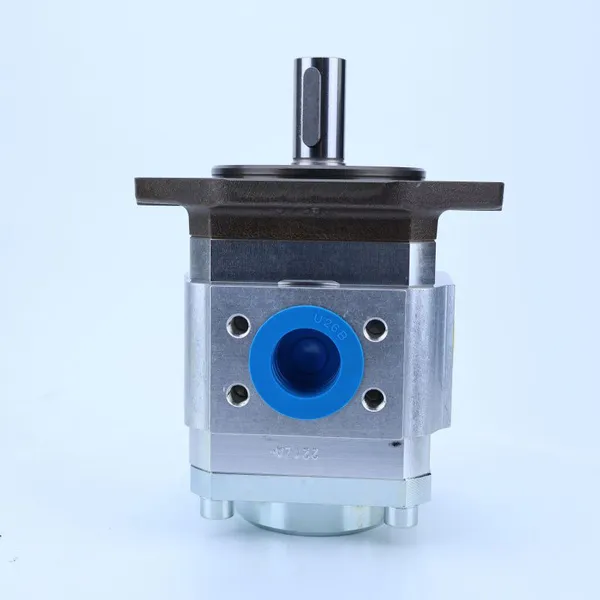 Gear Pump PGI102-3-020-RK23-10-6100 PGI PGI101 PGI102 PGI103 Series Internal Hydraulic Gear Pump PGI101-3-020-RK23-10 photo-5