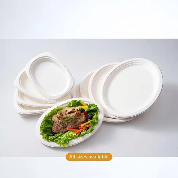 Plato Oval Desechable con Garantía de Fábrica de 1 Año, Pulpa de Bagazo a Prueba de Fugas, Logo Personalizado y Soporte de Fabricante OEM