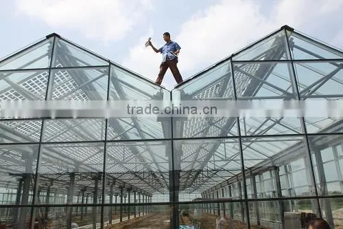 Customize Design Solar Double Transparent Panel photo-5