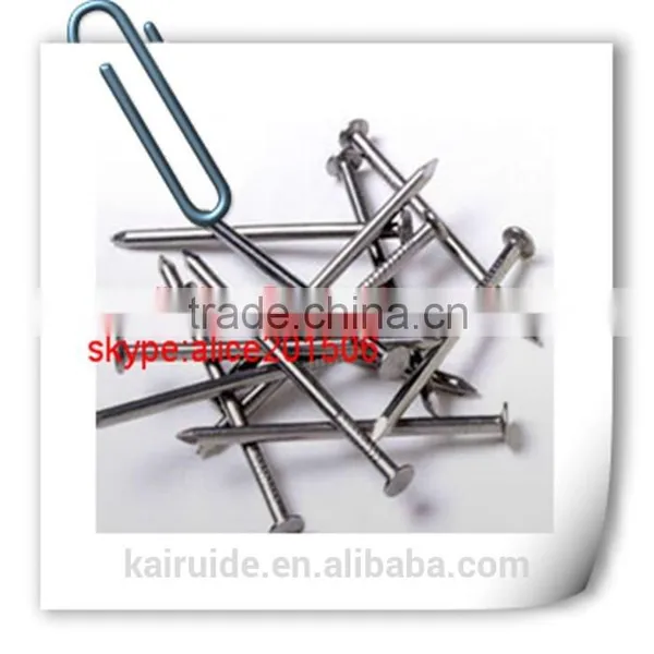 Common Iron Nail Wire Nail With Galvanized and Polished/common Iron Nail Factory photo-4