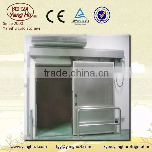 Stainless Steel Manual Sliding Cold Room Door