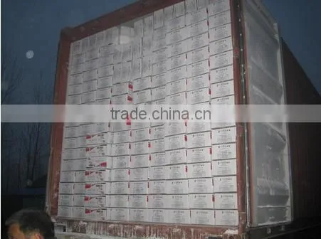 Swelling Powder Form Dried Instant and Fast Active Bakery Yeast photo-6
