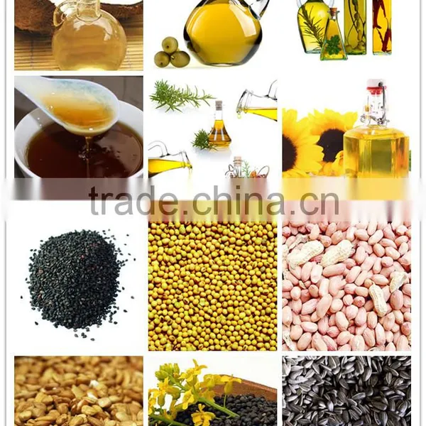 Hot and Cold Black Seed Oil Press Machine ,corn Oil Processing Machine,corn Oil Plant photo-2