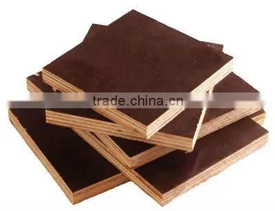 18MMX1220X2440 Russia Birch Core Film Faced Plywood photo-2