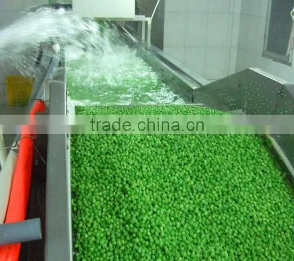 Iqf Frozen Green Peas photo-4