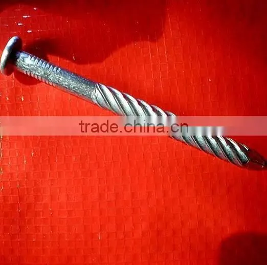 Uganda Market Surface Elcecto Galvanzied Twisted Nails photo-6