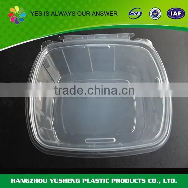 Disposable Plastic Food Container Malaysia,transparent Plastic Container photo-5