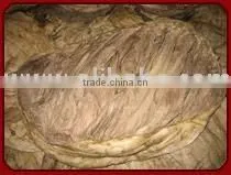 Salted Omasum