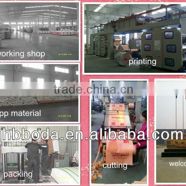 pp Woven Bag Plant in China