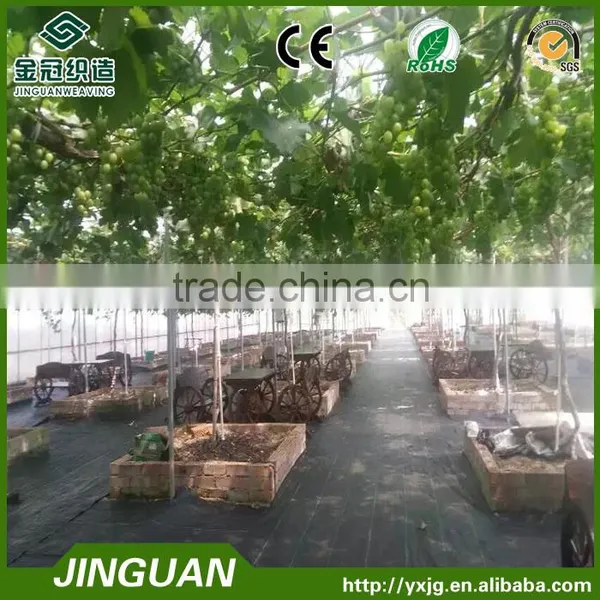 Weed Control Mat With Grid,weed Killer Cloth,PP Woven Weed Mat