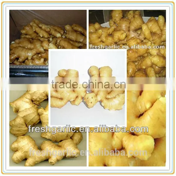 2015 New Crop Ginger