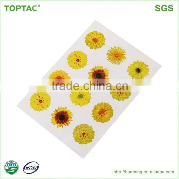 Colorful Hologram Sticker Printing