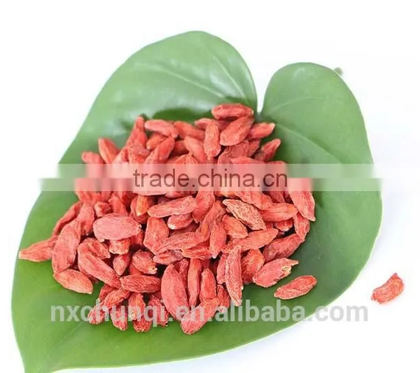 2015 New Crop Certified Wolfberry and Organic Goji Berry photo-4