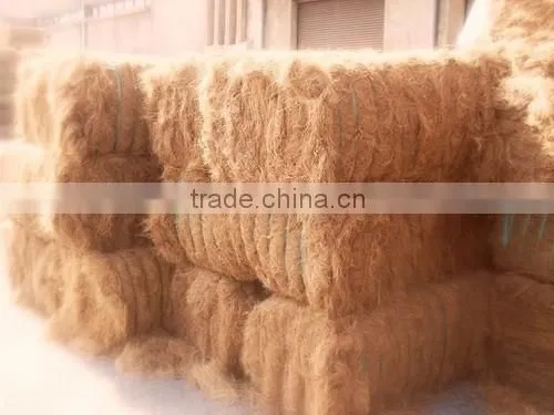 Coconut Coco Coir Fiber