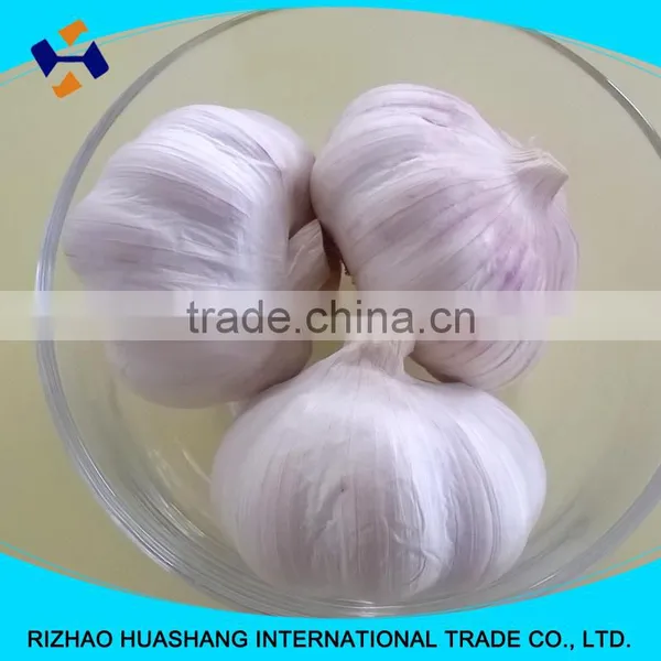 Good Quality Normal White Fresh Garlic Size4.5cm photo-3