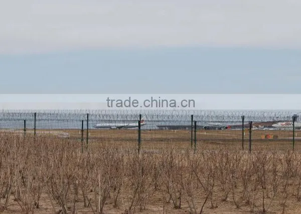 PVC Coated Anti-climbing Y Type Airport Razor Barbed Wire & Fence Panel photo-4