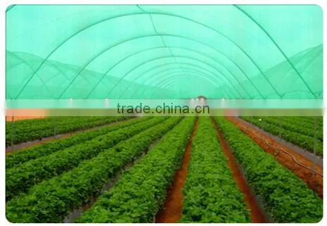 Sun Shade Net