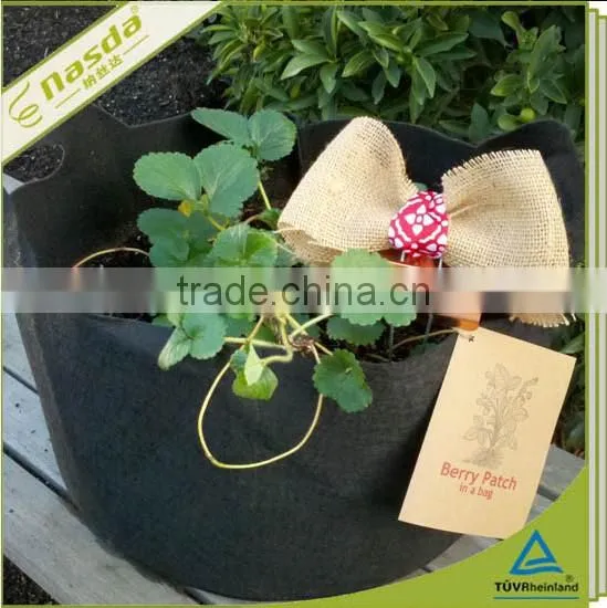 Non Woven Fabric Flower Pots Urban Garden Plant Bag