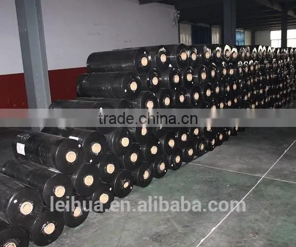 China High Quality Woven Polypropylene Geotextiles Fabric With NTPEP Ctification photo-6