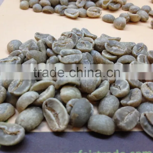 Vietnamese Arabica Green Coffee Beans
