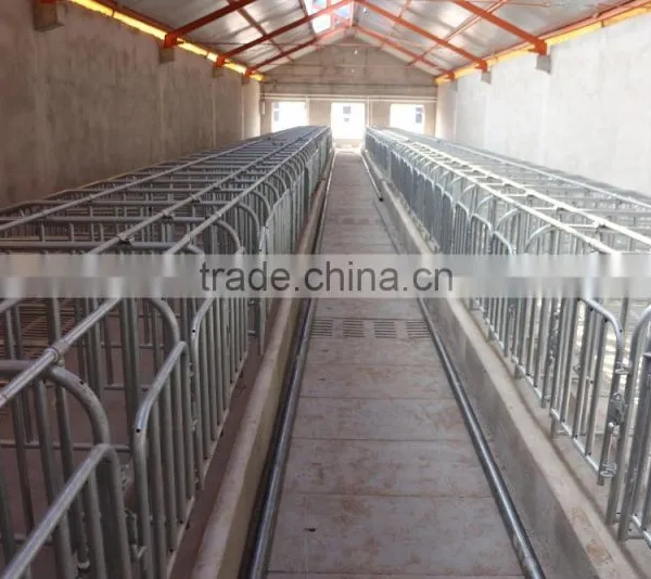 Pig Breeding Equipment Sow Gestation Cage photo-2