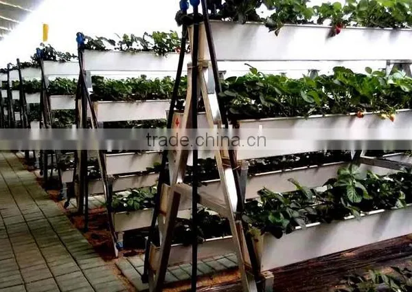 PVC Strawberry Gutter photo-2