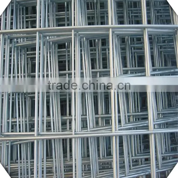 1*30m Hot Sale 1/4 Inch Galvanized Welded Wire Mesh for Sale photo-3