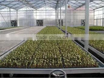 Low Cost Hydroponic Greenhouses System photo-2