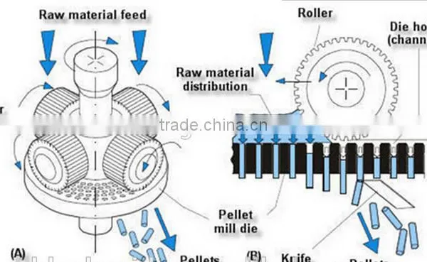 Sheep Feed Pellet Machine, Poultry Feed Making Machine, Pellet Machine of Animal Feed photo-4