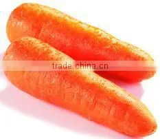 OULENO Potato Cleaning and Peeling Machine Large Roots Fruits and Vegetables Washing Peeling Machine Potato Carrot Cleaning and photo-3