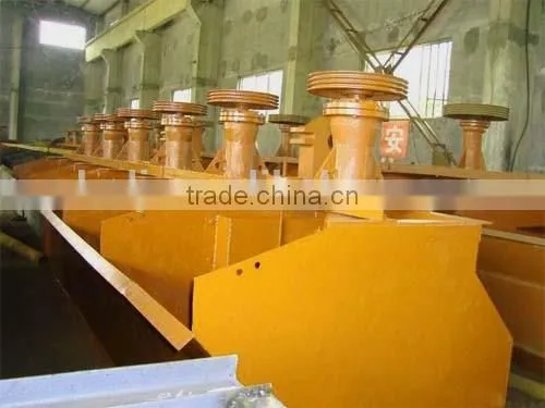 Froth Flotation Machine for Mineral Ore Beneficiation Plant photo-6