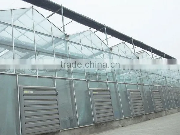 Large Used Commercial Glass Agricultural Greenhouses photo-4