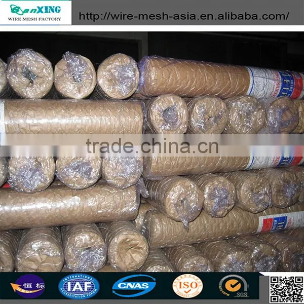 Cheap Chicken Wire Mesh Philippines/chicken Coop Hexagonal Wire Mesh for Plastering photo-3