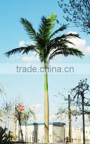 Artificial Fiberglass Outdoor Coconut Palm Tree Sale Fake Tree Decor photo-3
