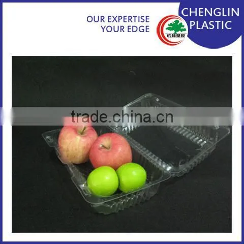Disposable Clear Pictures of Fruit Trays