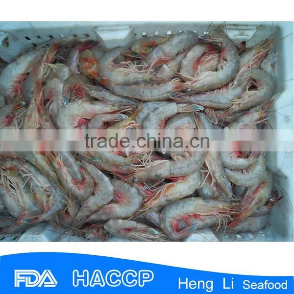 HL002 Seafood Frozen Raw Headless Shrimp photo-5