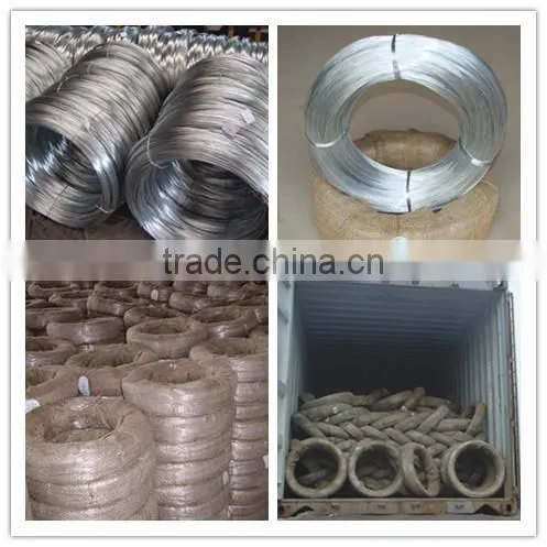 Galvanized Iron Wire/ Galvanized Steel Wire With Factory Price photo-2