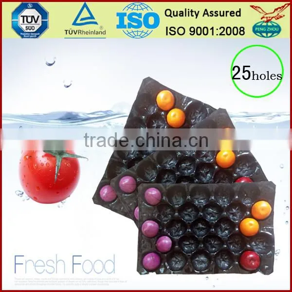 Fresh Fruit Export Packaging Punnet photo-2