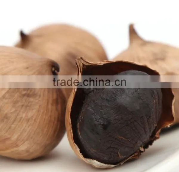 2016 Fermented Solo Black Garlic From China is Welcoming photo-3