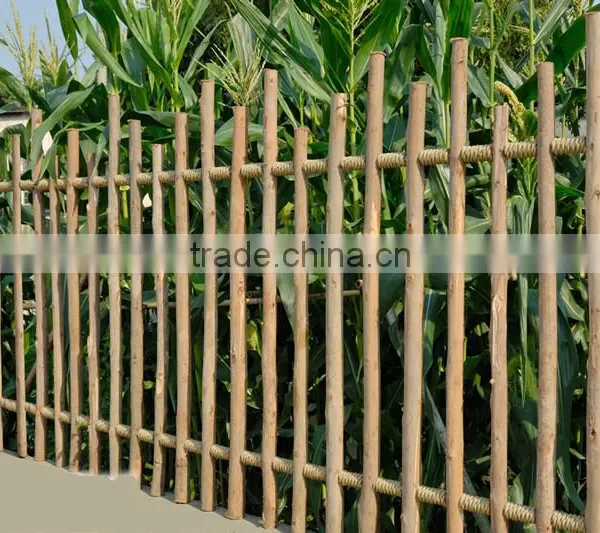 Eucalyptus Fence