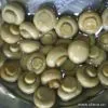 Sell Canned Mushrooms (Whole)