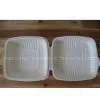 Disposable Takeout Box