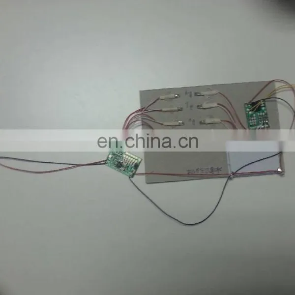 Recordable Sound Module With Push Button photo-3