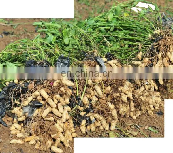 High Quality Single-row Garlic and Potato Digger Harvester for Sale photo-6